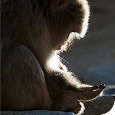 Prices